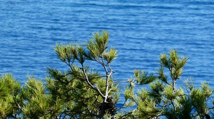 déménager Bandol sans permis