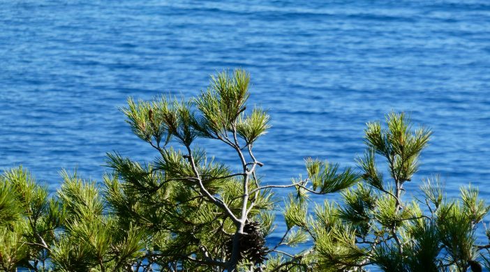 déménager Bandol sans permis